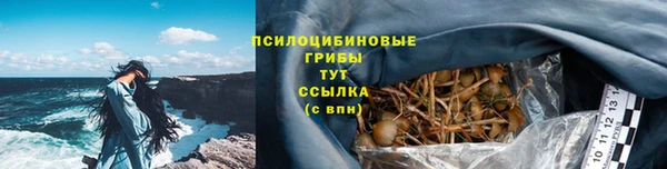 шишки Абинск