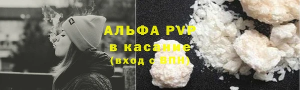 шишки Абинск