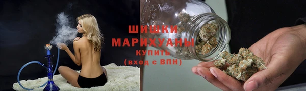 прущий лед Абаза