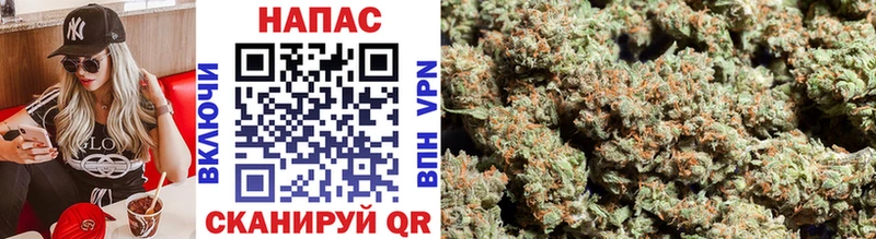 Конопля White Widow  что такое   Гаврилов Посад 